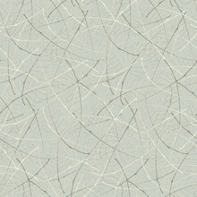 Vector Abstract Leaf Texture Seamless Pattern Background Delicate Overlapping Wispy Veins And Midrib Lines Creating A Random Textural Criss Cross Grid. Neutral Beige Design. Irregular Netting Effect
