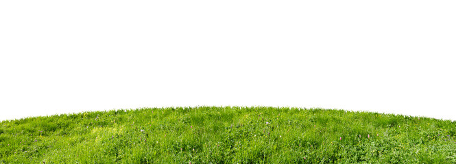 green grass field isolated on white background