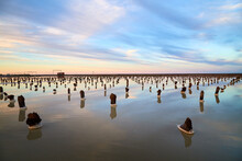 Salt Lake Water With A Smooth Mirror Surface And Wooden Pillars For Salt Extraction In The Evening With Blue Sky With White Clouds During Sunset