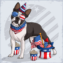Boston Terrier Dog Breed In 4th Of July Disguise Wearing Striped Cap And Sunglasses, With USA Flag And Fireworks