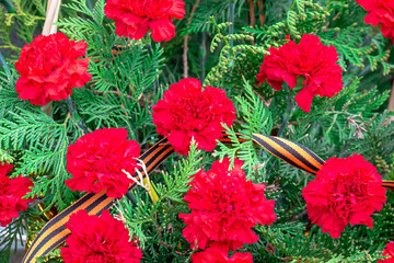 Wall Mural - Carnation flowers and St. George ribbon.