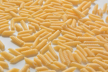 Csiga Italian Raw Pasta Macaroni
