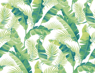  Seamless pattern with tropical plants. Foliage background. Palm leaves in realistic style. Vector botanical illustration. Hawaiian summer design.