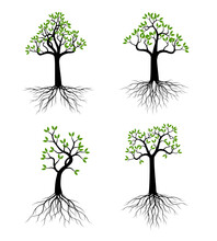 Set Green Trees. Vector Illustration.