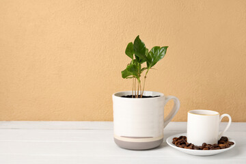 Wall Mural - Beautiful coffee tree and cup of beverage on wooden table