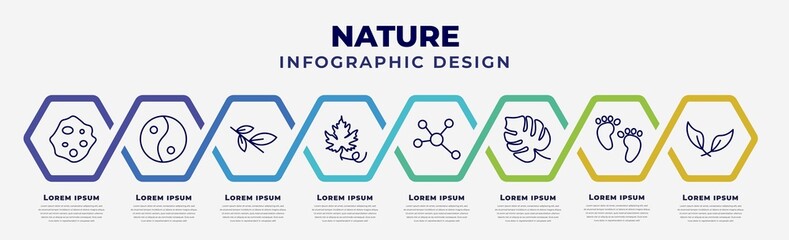 Wall Mural - vector infographic design template with icons and 8 options or steps. infographic for nature concept