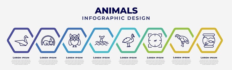 Wall Mural - vector infographic design template with icons and 8 options or steps. infographic for animals concept. included origami swan, hibernation, big eyes owl, whale zone, cassowary, hunted, condor,