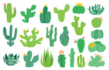 Cactus Plant. Cartoon Decorative Exotic Succulent, Tropical Desert Plant. Vector Mexican Aloe Isolated Set