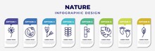 Infographic Template With Icons And 8 Options Or Steps. Infographic For Nature Concept. Included Pollen, Natural Energy, Obcordate, Briar Leaf, Bamboo Sticks, Philodendron, Four Toe Footprint, Lemon