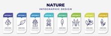 Infographic Template With Icons And 8 Options Or Steps. Infographic For Nature Concept. Included Hawthorn Leaf, Orange Leaf, Yucca, Death, Magnolia Leaf, Reed Bed, Black Willow, Ovate Editable