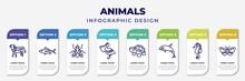 Infographic Template With Icons And 8 Options Or Steps. Infographic For Animals Concept. Included Cow, Tuna, Fly, Pelican, Turtle, Grampus, Seahorse, Butterfly With Wings Editable Vector.