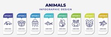 Infographic Template With Icons And 8 Options Or Steps. Infographic For Animals Concept. Included Ant Eater, Chimpanzee, Medusa, Salmon, Dolphin Jumping, Hippopotamus, Tiger, Goldfish Editable