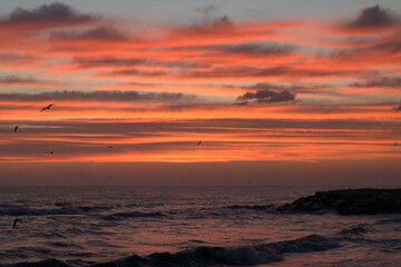 Wall Mural - sunset over the sea,water, ocean,water, ocean,nature, sunrise, cloud, landscape, orange, horizon, evening, color,