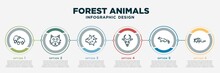 Infographic Template Design With Forest Animals Icons. Forest Animals Concept With 6 Options Or Steps. Included Raindrop, Pallas Cat, Blowfish, Gazelle, Marten, Armadillo. Can Be Used Web, Info