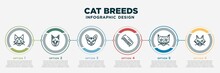 Infographic Template Design With Cat Breeds Icons. Cat Breeds Concept With 6 Options Or Steps. Included Maine Coon Cat, Siamese Sphynx Comb, Savannah Nebelung Can Be Used Web, Info Graph, Flow