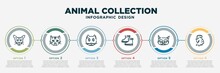 Infographic Template Design With Animal Collection Icons. Animal Collection Concept With 6 Options Or Steps. Included Nese Cat, Manx Cat, Kinkalow Cat, Boots, Grumpy Cock. Can Be Used Web, Info