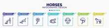 Infographic For Horses Concept. Vector Infographic Template With Icons And 7 Option Or Steps. Included Null, Dog Smelling A Bone, Four Leaf Clover, Rocker Horse, Vampire, Jockey Hat, Horse Standing
