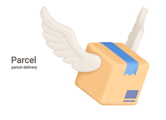 Parcel. Delivery box with wings. Isolated. Fast delivery of purchases, logistics service. 3d object on a transparent background