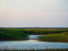 The Sea Meets The River On A Beautiful Quiet Morning In A Swampy Wetland With Green Reeds Landscape