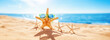 © candy1812 - Starfishes on the beach sand in summer