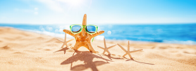 Starfishes on the beach sand in summer