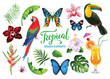 Tropical collection for summer beach party: exotic flowers, butterflies, leaves, parrots and cocktails. Vector design isolated elements on the white background.