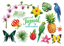 Tropical Collection: Exotic Flowers, Leaves, Fruits, Birds And Butterflies. Vector Design Isolated Elements On The White Background.