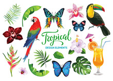 Tropical Collection For Summer Beach Party: Exotic Flowers, Butterflies, Leaves, Parrots And Cocktails. Vector Design Isolated Elements On The White Background.