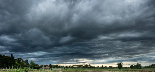 Wall Mural - storm clouds with the rain. natural backgrounds.