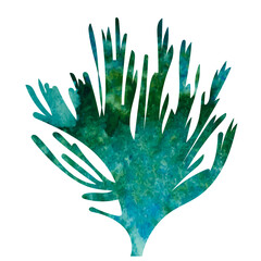 Wall Mural - seaweed watercolor silhouette, on white background, isolated, vector