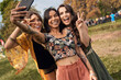 Leinwandbild Motiv Group of friends making selfie at music festival
