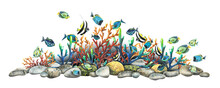 Coral Reefs With Various Tropical Fish, Pebbles, Algae And Sea Sponges. Bright, Juicy, Watercolor Illustration. A Board For The Design Of Banners, Souvenirs, Postcards, Posters, Design And Printing.