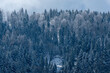 Małe Kozy, Śląsk, Polska, Beskid Mały oszronione drzewa, korony w śniegu, chmury.
