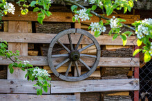 Old Wooden Wheel Hanging On A Wooden Background.
