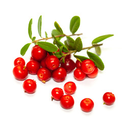 Wall Mural - Red lingonberry (foxberry, cowberry) isolated on white