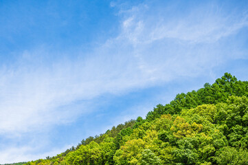 Wall Mural - 新緑の山と青空