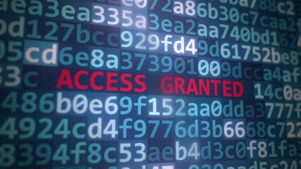 ACCESS GRANTED text and program code on the computer screen