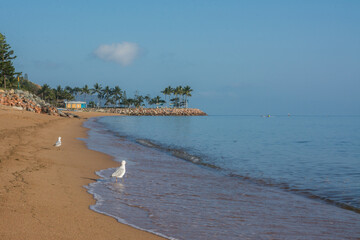 Sticker - Townsville beach