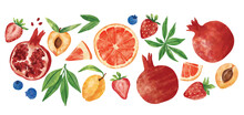Hand Drawn Illustrations Of Fruits: Fruits, Harvest, Trees, Leaves, Plants, Pomegranate, Strawberry. Berry, Blueberry, Apricot, Peach, Orange, Bloody Orange, Pomelo, Grapefruit, Citrus. Cute Freehand 
