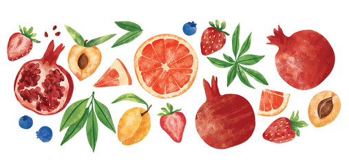 Hand drawn illustrations of fruits: fruits, harvest, trees, leaves, plants, pomegranate, strawberry. Berry, blueberry, apricot, peach, orange, bloody orange, pomelo, grapefruit, citrus. Cute freehand 