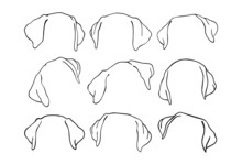 Labrador Ears. Black And White Outline Illustration Printable