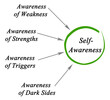 Four components of Self- Awareness