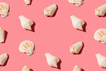 Creative Pattern Made Of Seashells On Peach Pink Background. Minimal Flat Lay Aesthetic With Copy Space. Summer And Sea Visual.