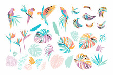 Vector Illustrations Of Parrots, Tropical Leaves, Bananas. Clipart, Isolated Elements.