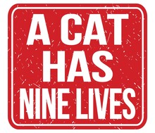 A CAT HAS NINE LIVES, Text Written On Red Stamp Sign