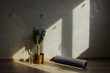 Rolled yoga mat and green plant in pot placed near glass bottle of water in living room with sunlight at home