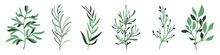 Abstract Cute Branches. Hand Drawn Branch With Leaves. Set Of Leaves. Branch Icon. Vector Illustration