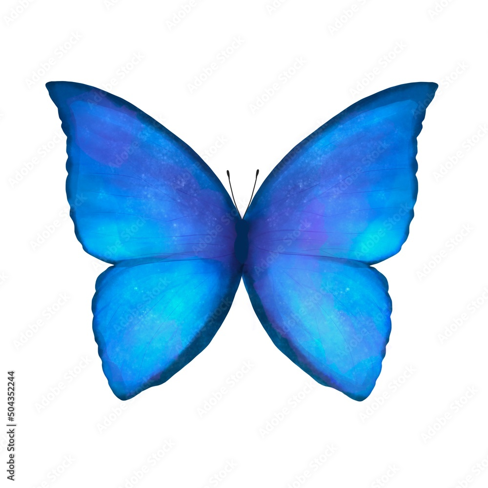 Stock-Illustration „モルフォ蝶・青い蝶の水彩イラスト“ | Adobe Stock