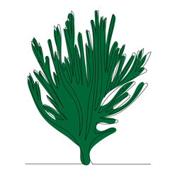 Wall Mural - seaweed drawing by one continuous line, vector