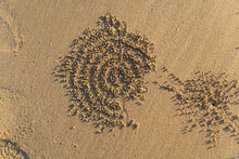 Sand Bubbler Crab Patterns In The Sand In Thailand. 